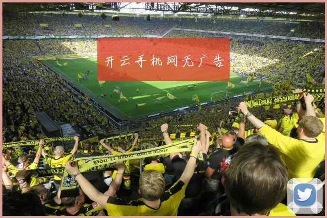 开云手机网无广告