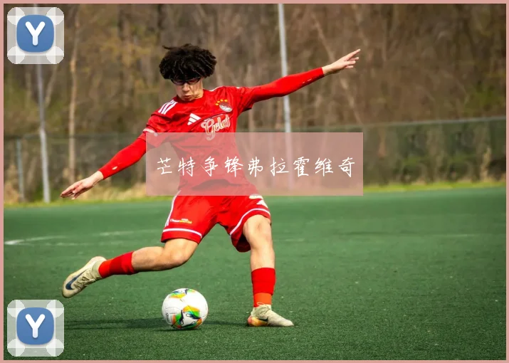 芒特争锋弗拉霍维奇