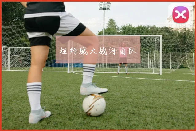 纽约城大战河南队