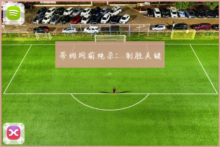 蒂姆网前绝杀：制胜关键