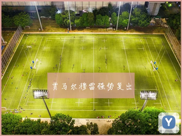 贾马尔穆雷强势复出