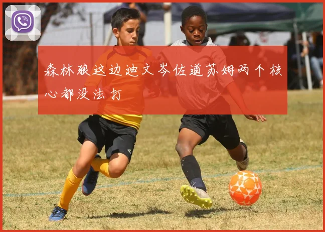 森林狼这边迪文岑佐道苏姆两个核心都没法打