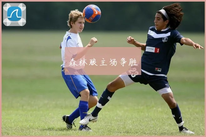 森林狼主场争胜