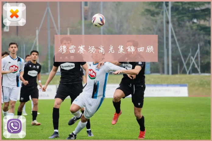 穆雷赛场高光集锦回顾