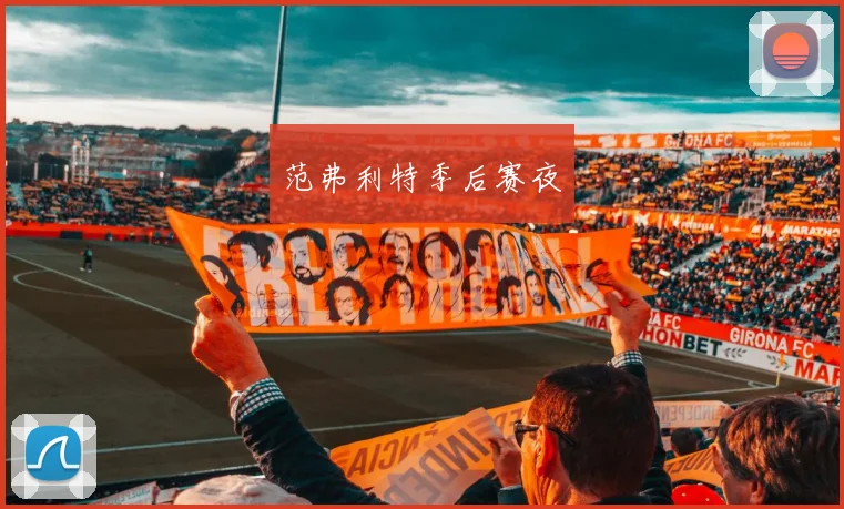 范弗利特季后赛夜