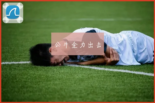 公牛全力出击