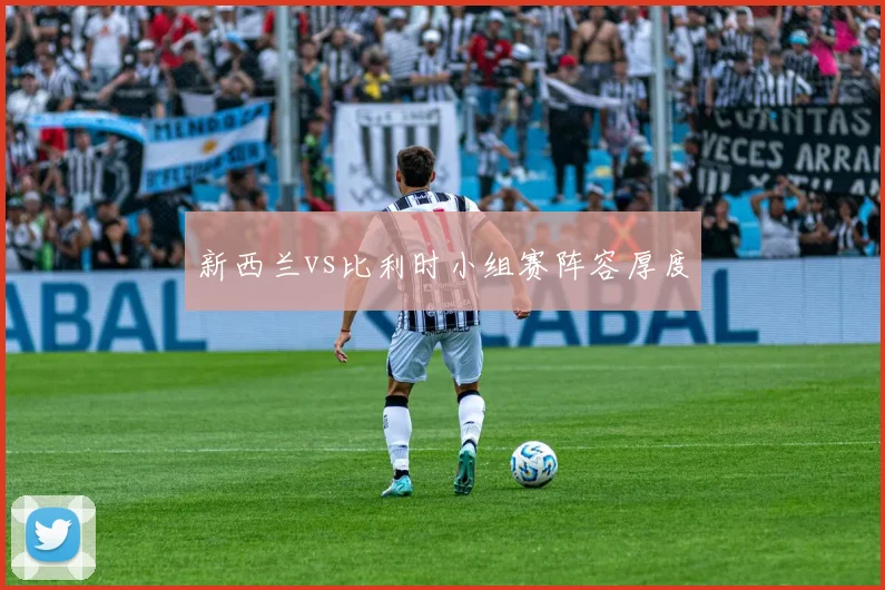 新西兰vs比利时小组赛阵容厚度