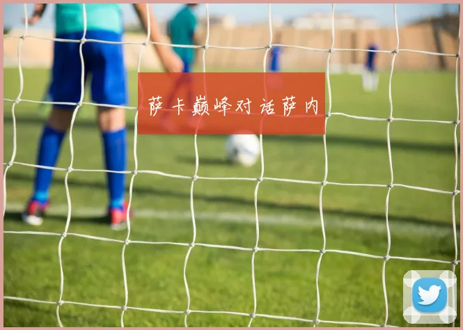 萨卡巅峰对话萨内