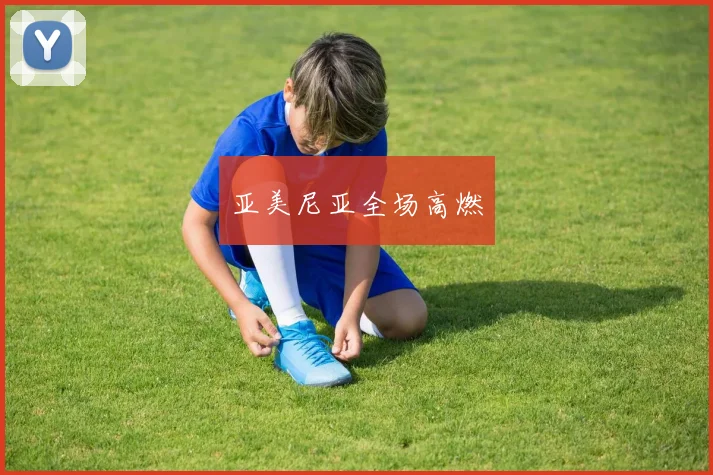 亚美尼亚全场高燃