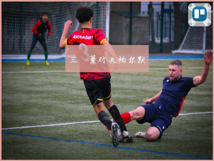 三笘薰对决帕尔默