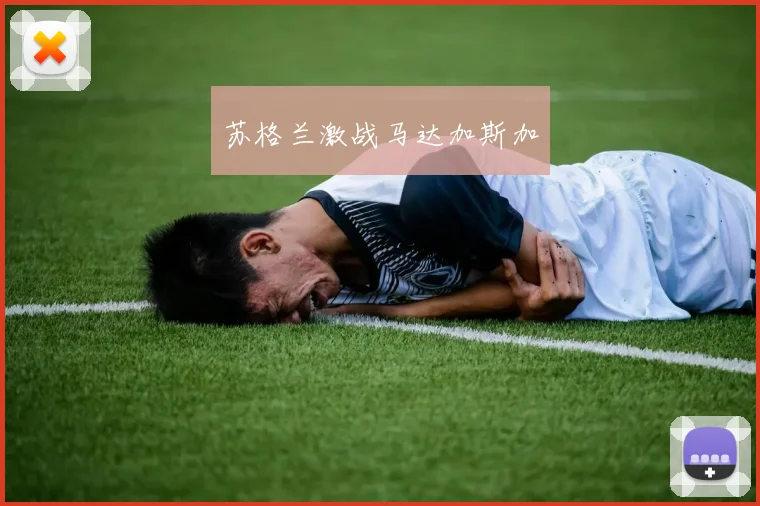 苏格兰激战马达加斯加