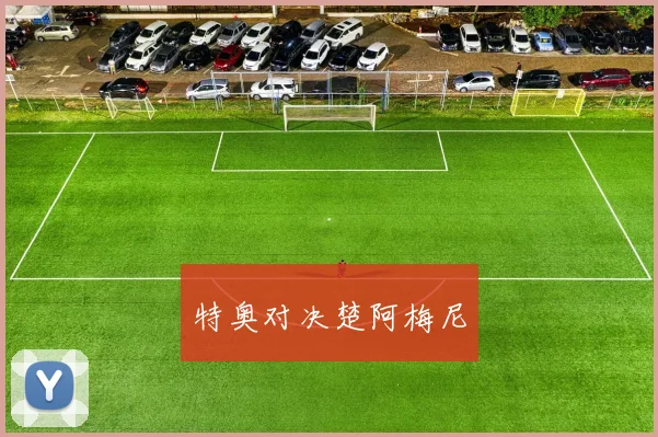 特奥对决楚阿梅尼