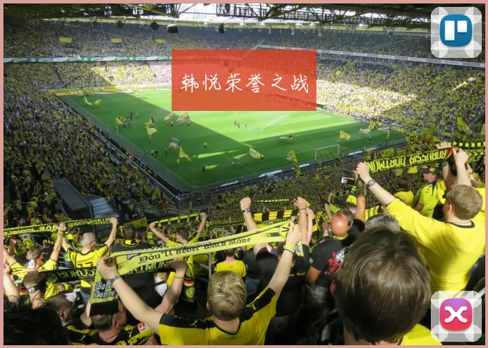 韩悦荣誉之战