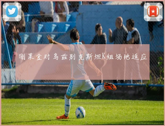 刚果金对乌兹别克斯坦K组场地适应
