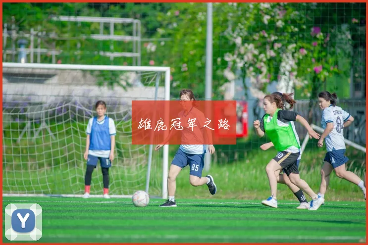 雄鹿冠军之路