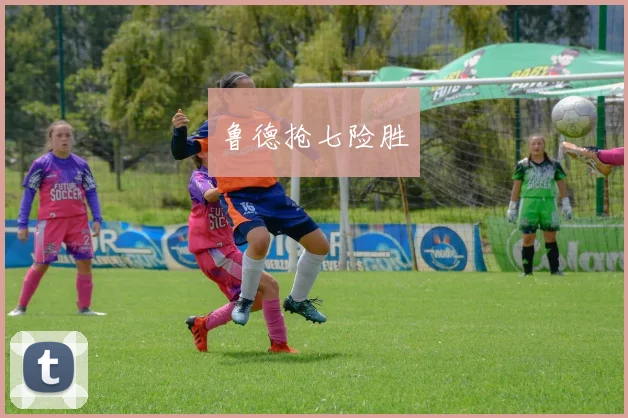 鲁德抢七险胜