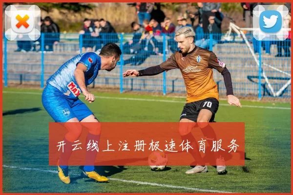 开云线上注册极速体育服务