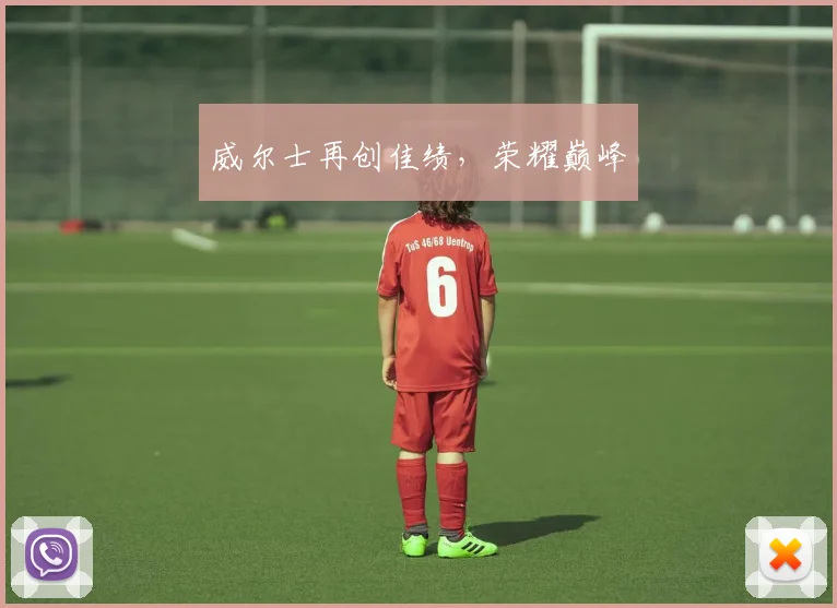 威尔士再创佳绩，荣耀巅峰