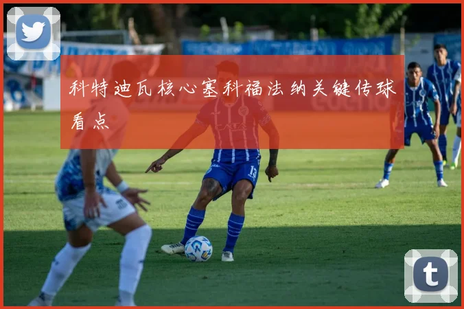 科特迪瓦核心塞科福法纳关键传球看点