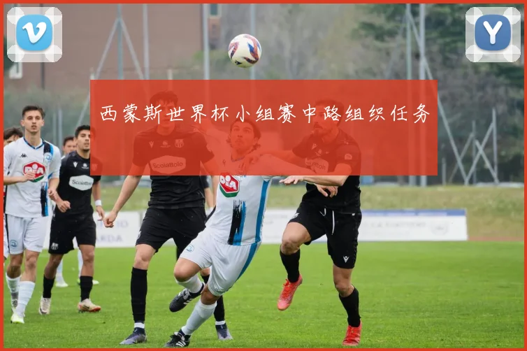 西蒙斯世界杯小组赛中路组织任务