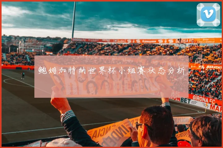 鲍姆加特纳世界杯小组赛状态分析