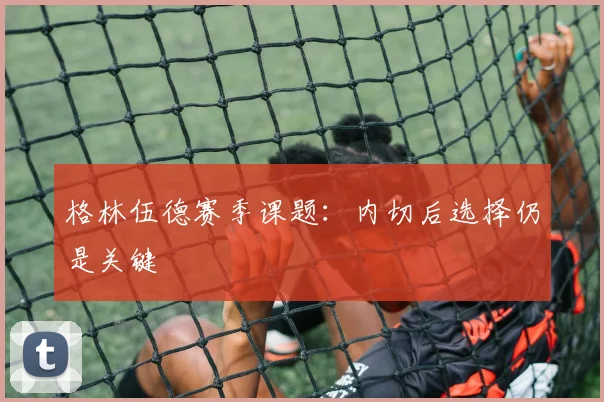 格林伍德赛季课题：内切后选择仍是关键